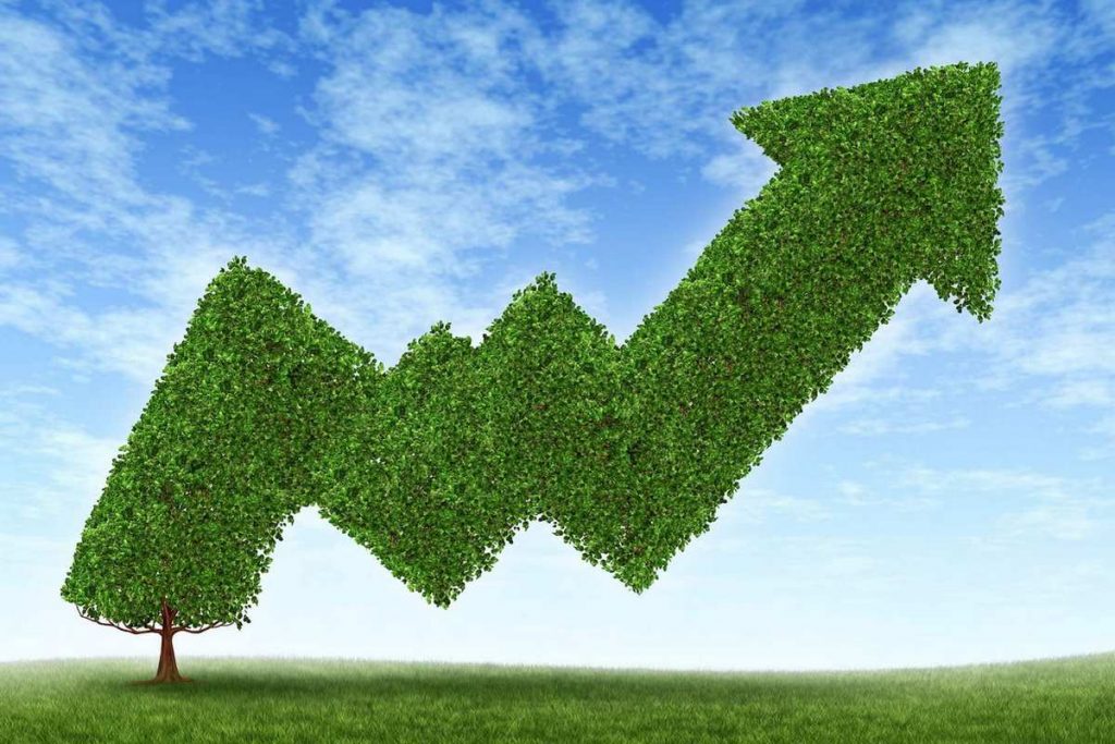 Альтернативная энергетика в Украине выросла на 25%